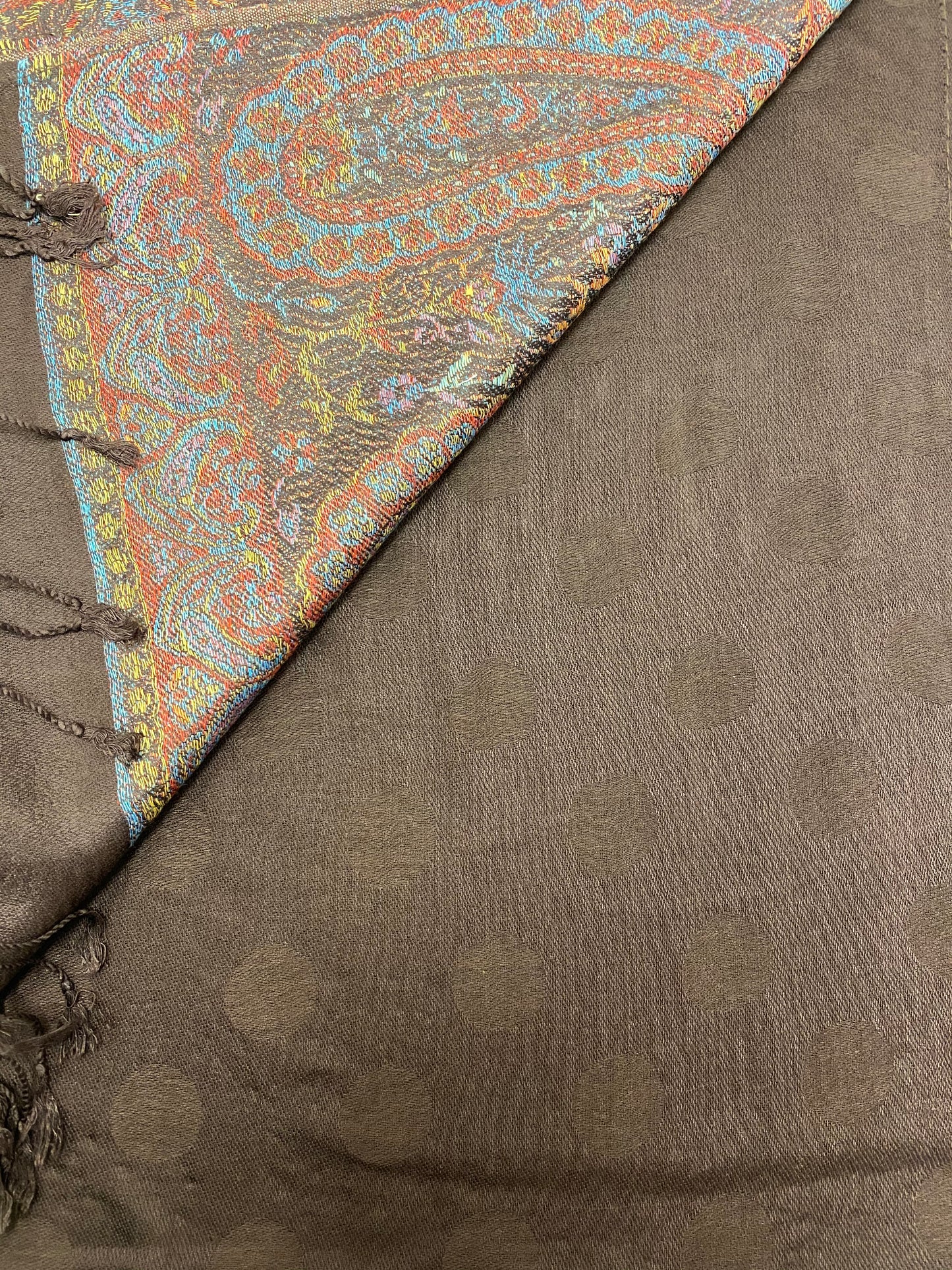 Brown Border Pashmina