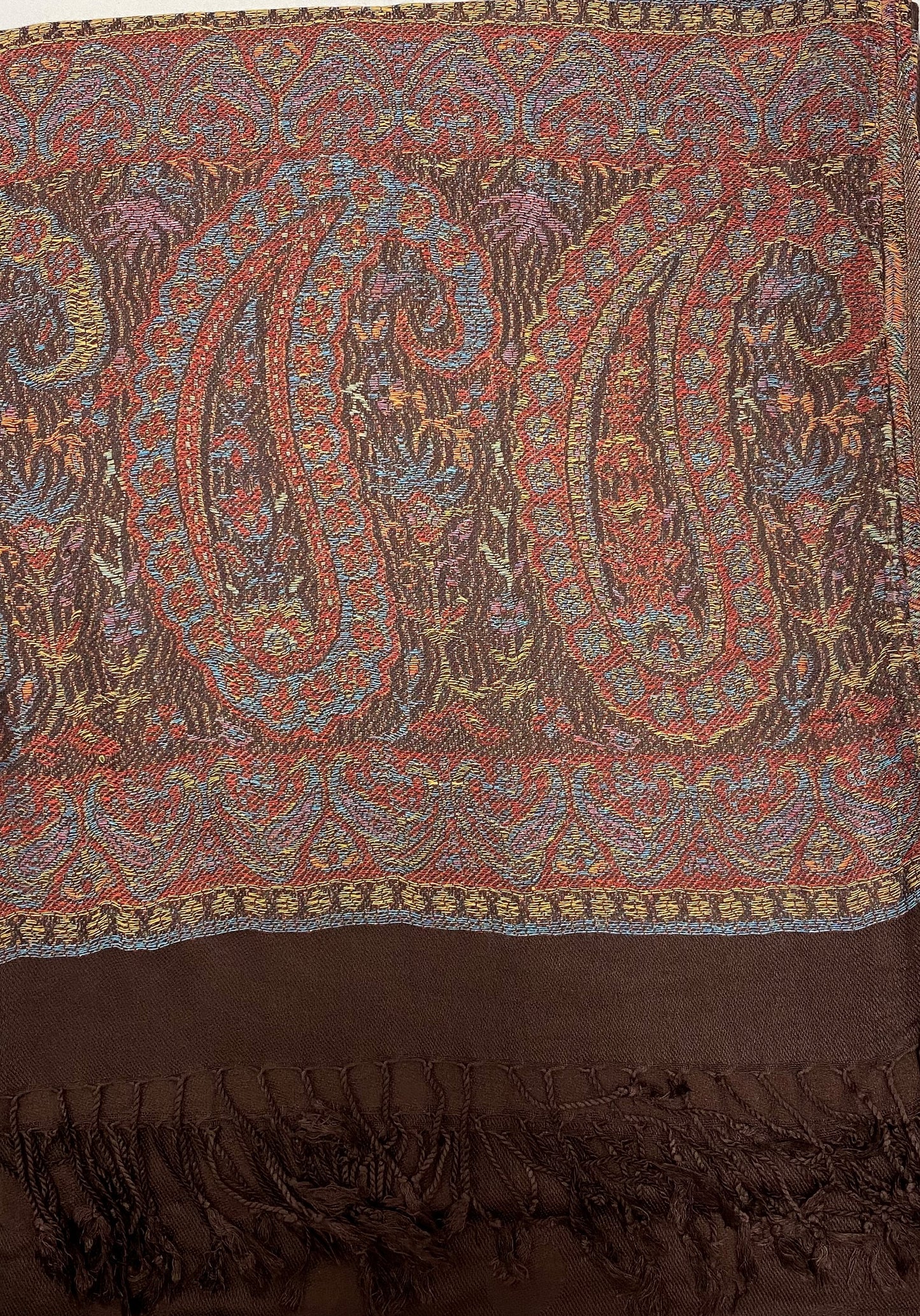 Brown Border Pashmina