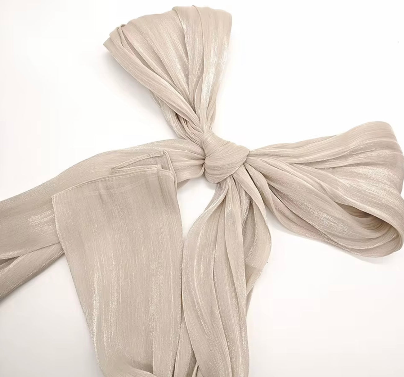 Shimmer Silk Organza Hijabs