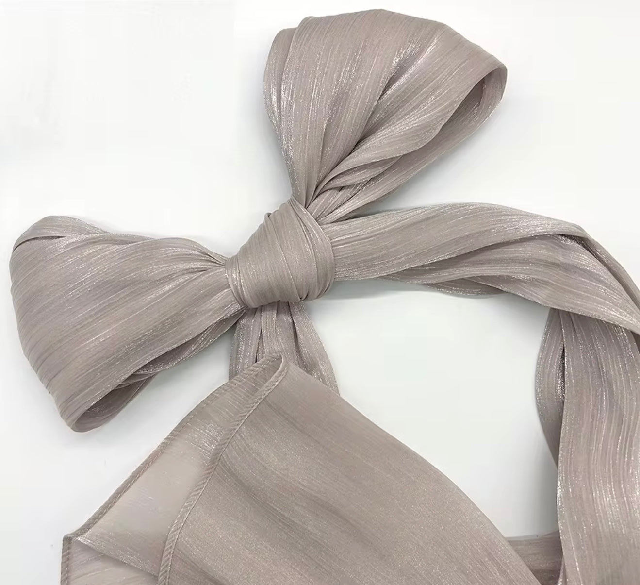 Shimmer Silk Organza Hijabs