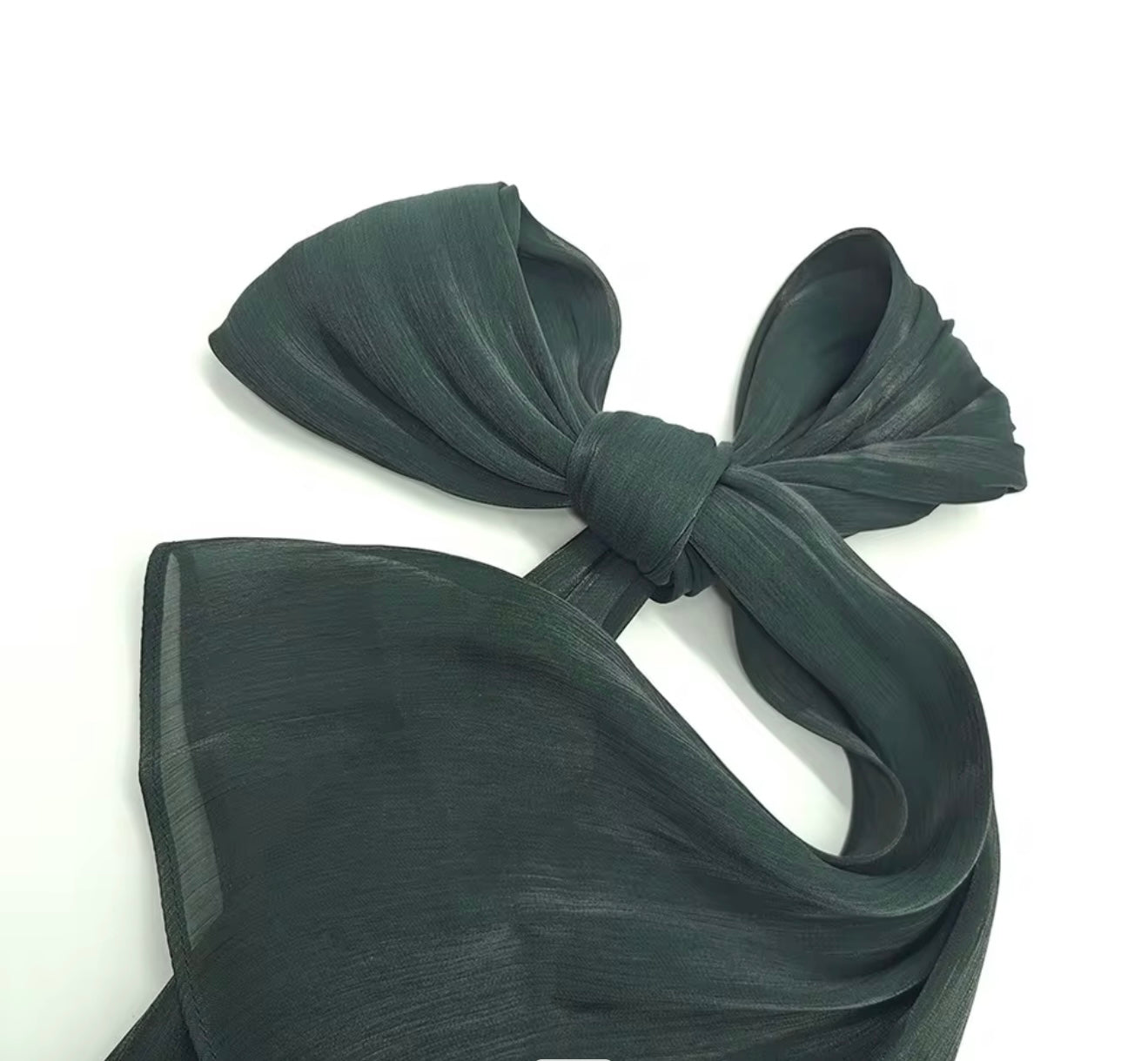 Shimmer Silk Organza Hijabs