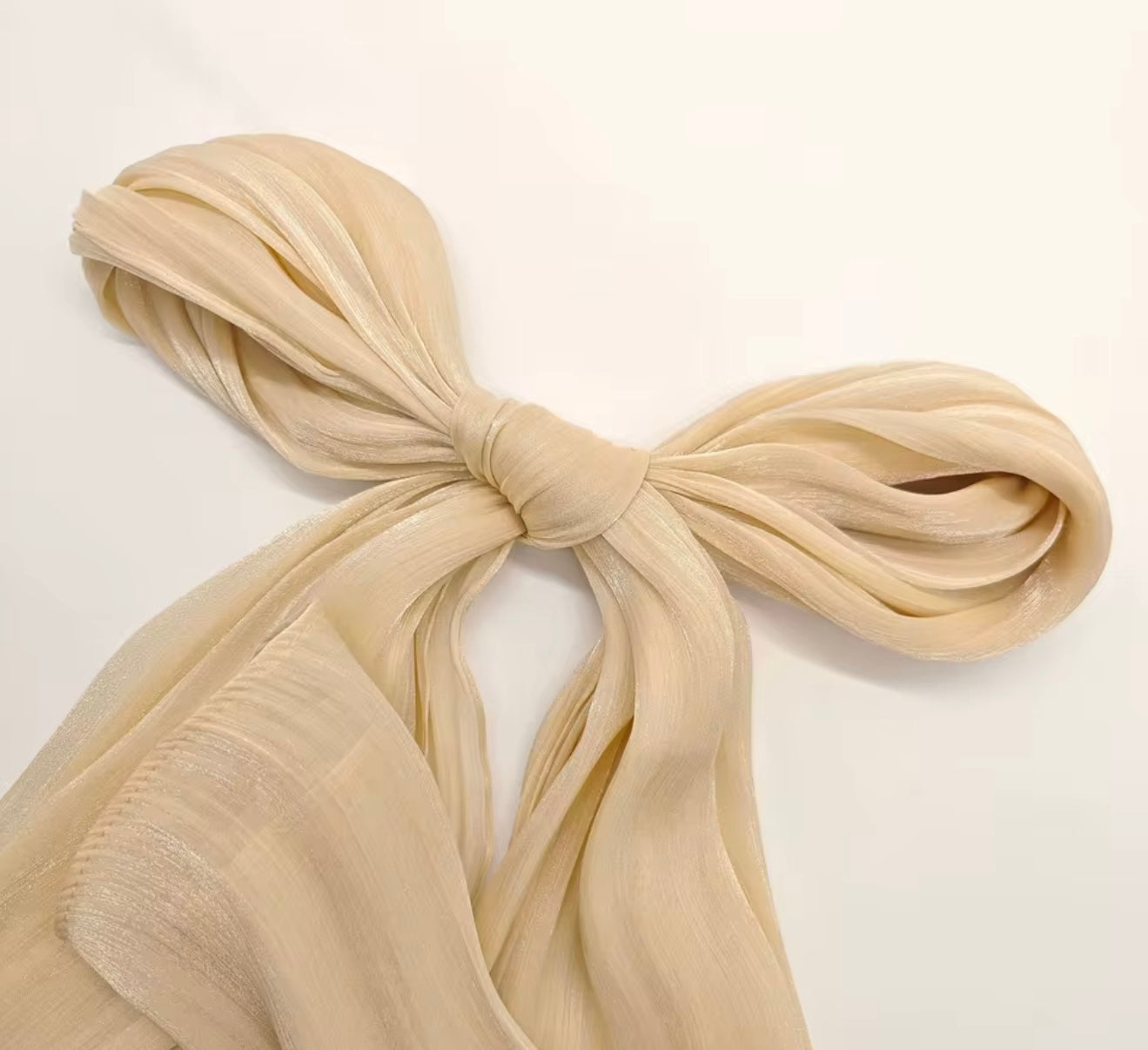 Shimmer Silk Organza Hijabs