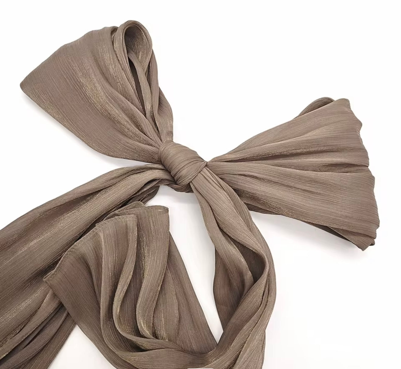 Shimmer Silk Organza Hijabs