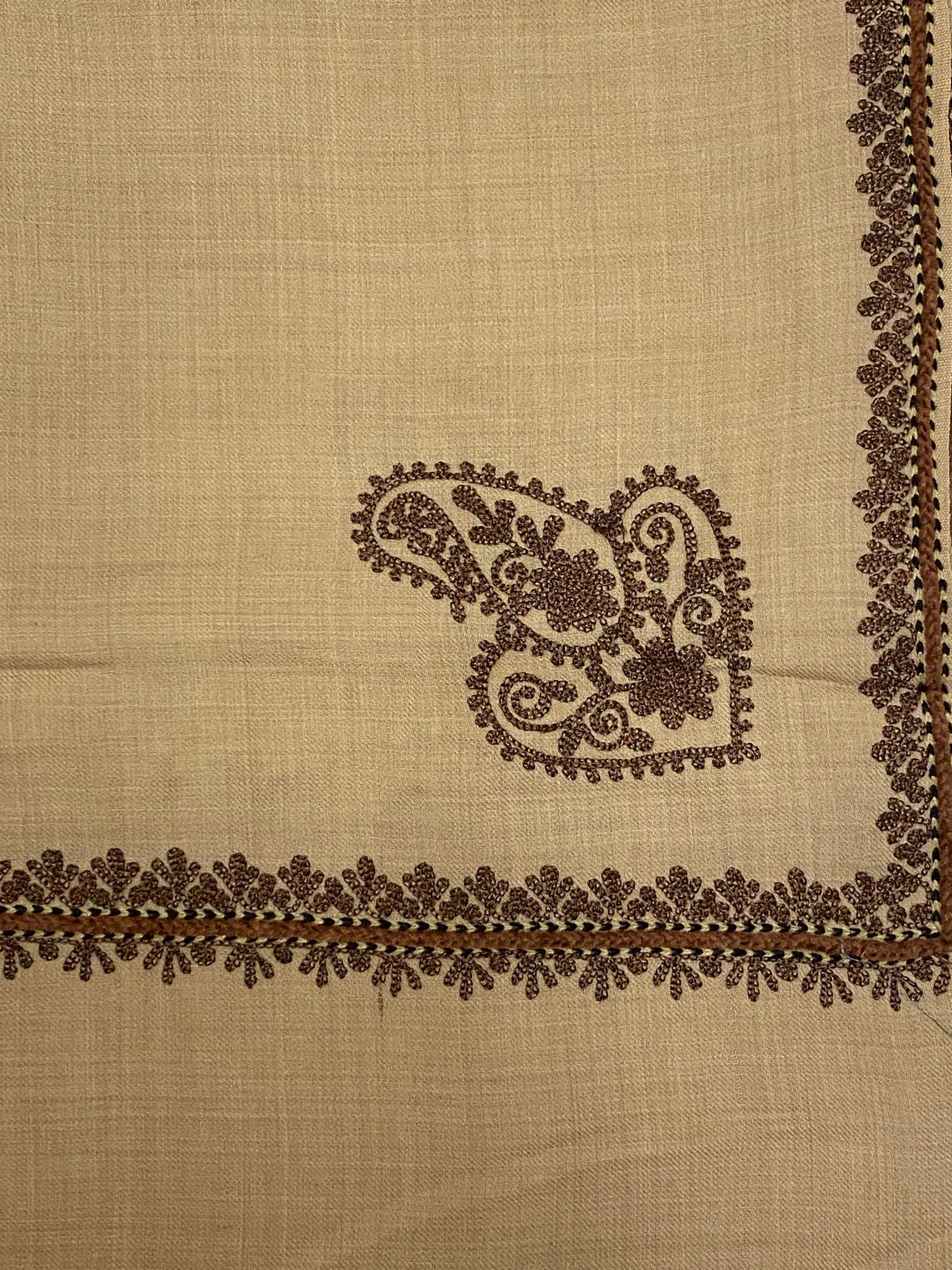 Beige Embroidered Pashmina - Chaddors